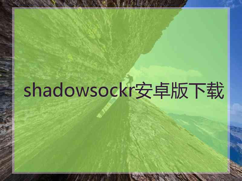 shadowsockr安卓版下载