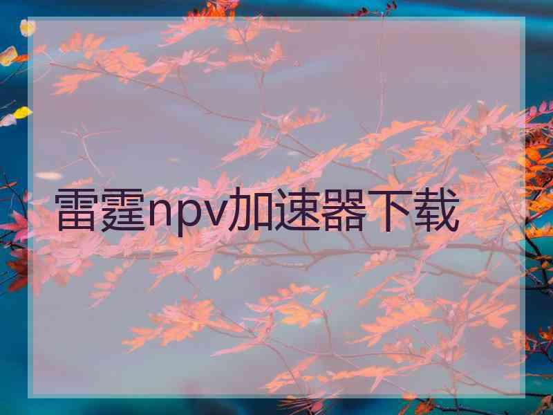 雷霆npv加速器下载