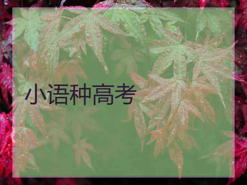 小语种高考