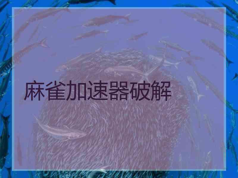 麻雀加速器破解