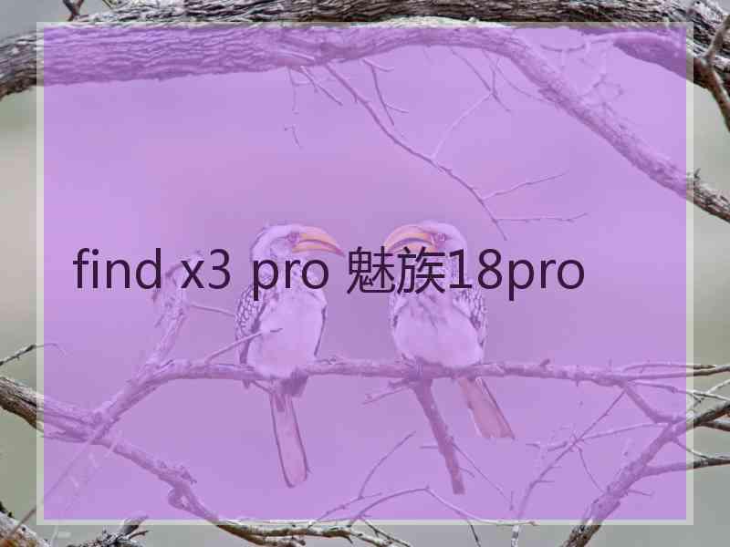 find x3 pro 魅族18pro