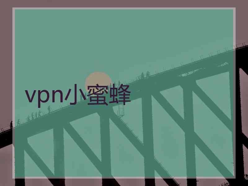 vpn小蜜蜂