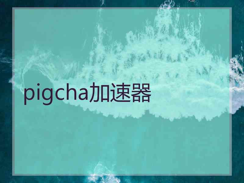 pigcha加速器