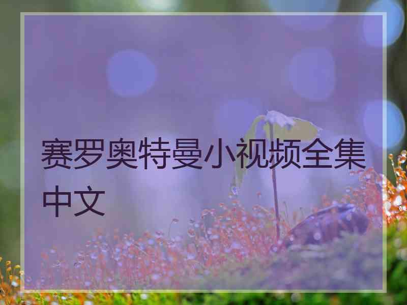 赛罗奥特曼小视频全集中文